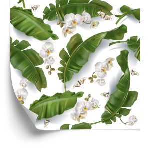Behang Bloemen Van Orchideeën Natuur Voor De Salon