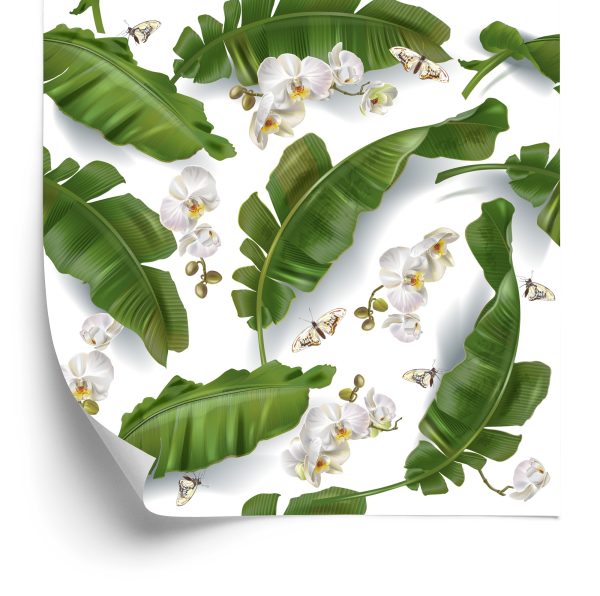 Behang Bloemen Van Orchideeën Natuur Voor De Salon