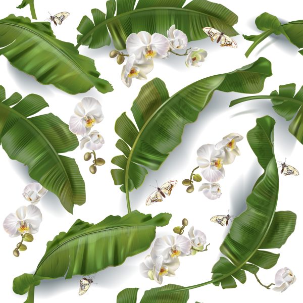 Behang Bloemen Van Orchideeën Natuur Voor De Salon - Afbeelding 2