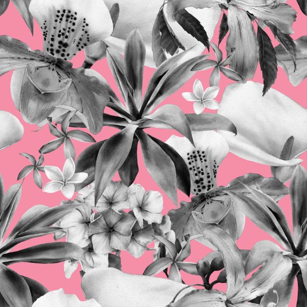 Behang Orchidee. Natuur. Planten. Natuur - Afbeelding 2