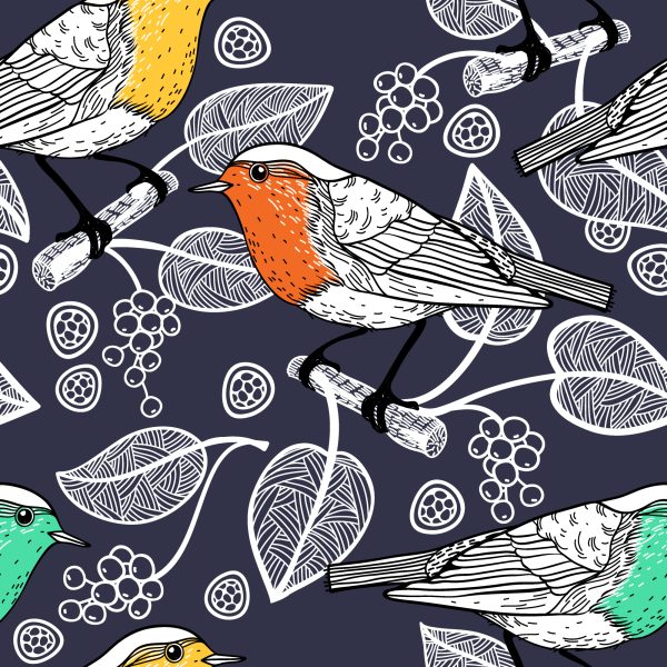 Behang Prachtige Vogels - Afbeelding 2