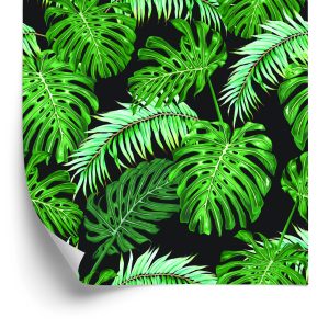 Behang Bladeren Van De Palm En Monstera