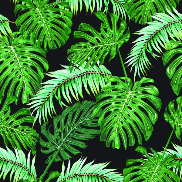 Behang Bladeren Van De Palm En Monstera - Afbeelding 2