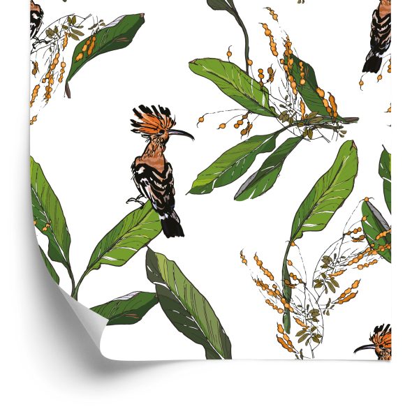 Behang Hoopoes En Bladeren