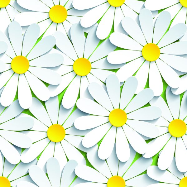 Behang Bloemen - Kamille 3D - Afbeelding 2
