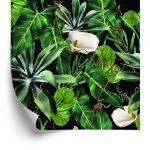 Behang Exotische Planten