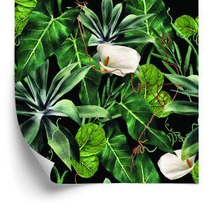 Behang Exotische Planten