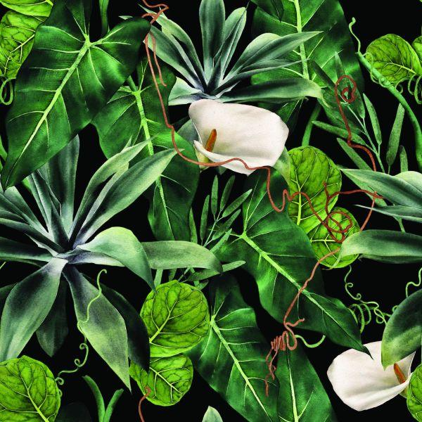 Behang Exotische Planten - Afbeelding 2