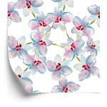 Behang Slaapkamer, Orchideeën, Orchideeën, Natuur