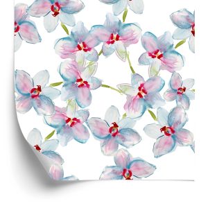 Behang Slaapkamer, Orchideeën, Orchideeën, Natuur