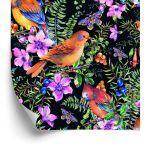 Behang Prachtige Kleurrijke Vogels En Vlinders