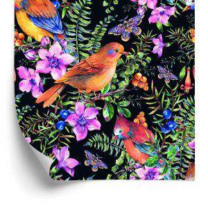 Behang Prachtige Kleurrijke Vogels En Vlinders