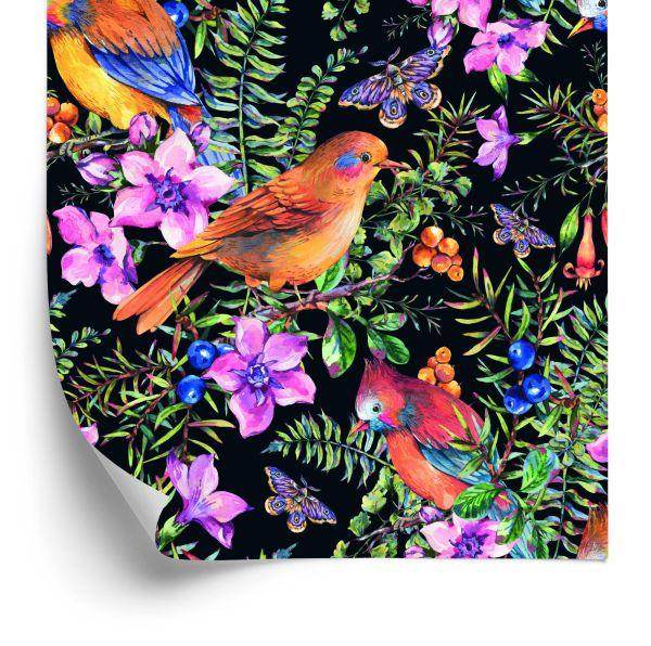 Behang Prachtige Kleurrijke Vogels En Vlinders