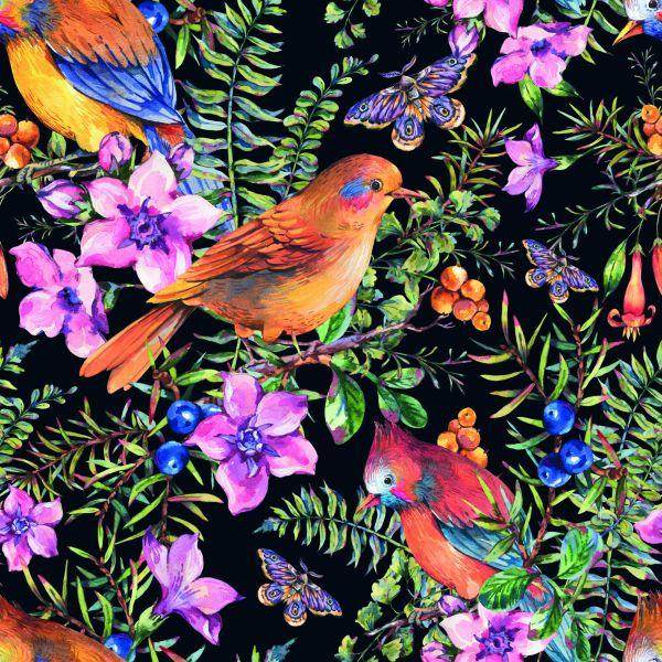 Behang Prachtige Kleurrijke Vogels En Vlinders - Afbeelding 2