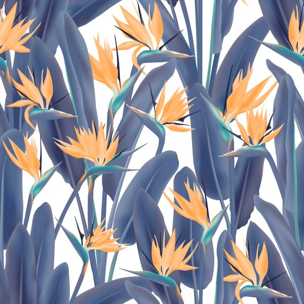 Behang Paradijsvogels Bloemen - Afbeelding 2