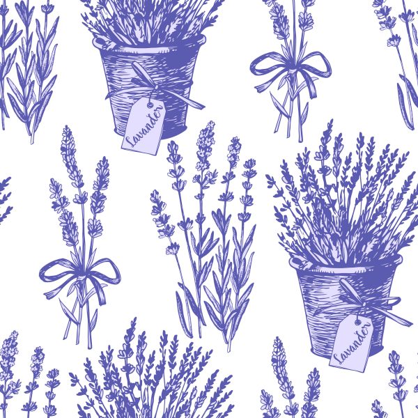 Behang Lavendel Planten - Afbeelding 2
