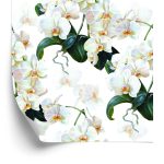 Behang Voor De Slaapkamer Exotische Orchideeën Orchideeën