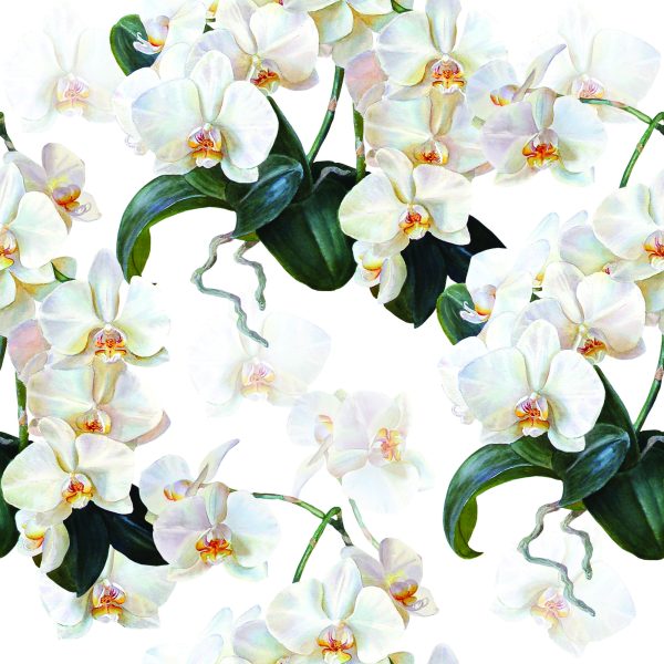 Behang Voor De Slaapkamer Exotische Orchideeën Orchideeën - Afbeelding 2