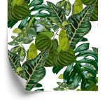 Behang Bladeren Van Exotische Planten
