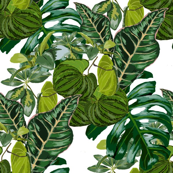 Behang Bladeren Van Exotische Planten - Afbeelding 2