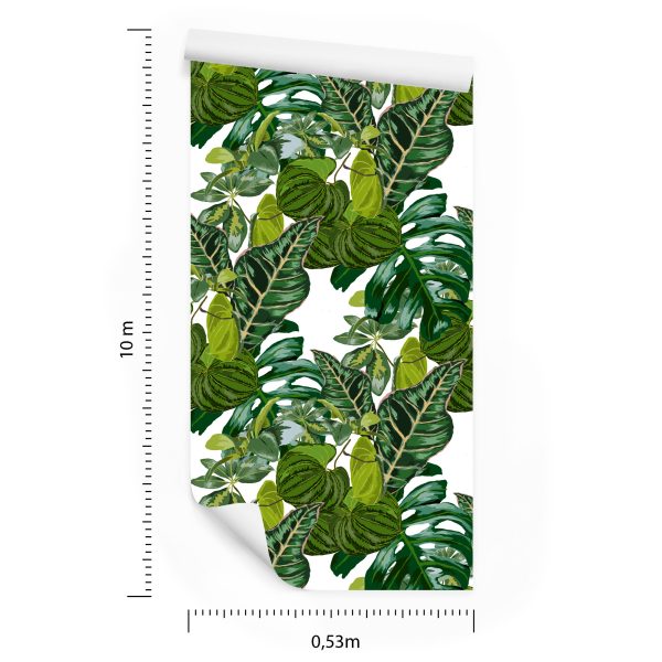Behang Bladeren Van Exotische Planten - Afbeelding 8