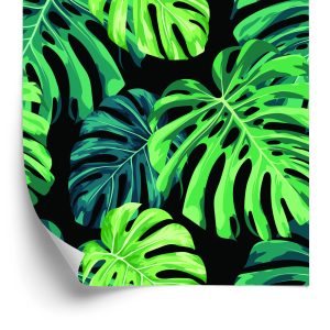 Behang Monstera Vertrekt