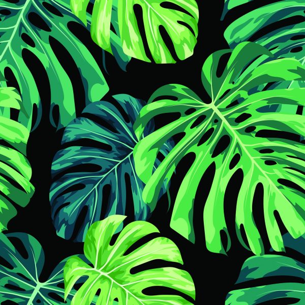 Behang Monstera Vertrekt - Afbeelding 2