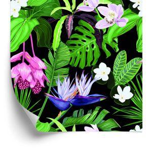 Behang Exotische Palmbladeren