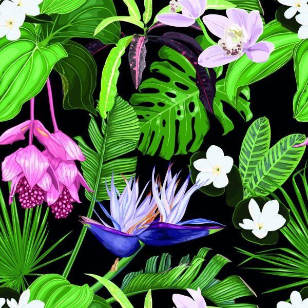 Behang Exotische Palmbladeren - Afbeelding 2