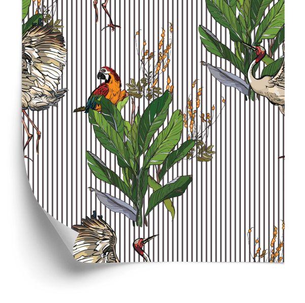Behang Papegaaien En Kraanvogels