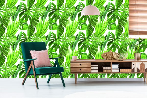 Behang Groene Monstera-Bladeren - Afbeelding 6