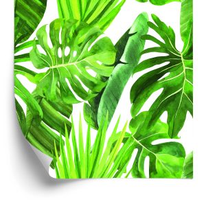 Behang Groene Monstera-Bladeren