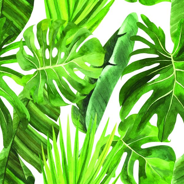 Behang Groene Monstera-Bladeren - Afbeelding 2