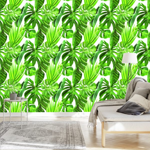 Behang Groene Monstera-Bladeren - Afbeelding 3