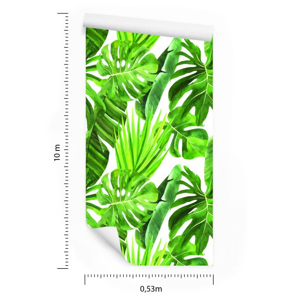 Behang Groene Monstera-Bladeren - Afbeelding 8
