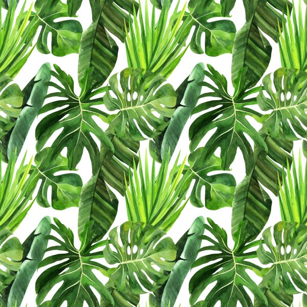 Behang Groene Palmbladeren - Afbeelding 2