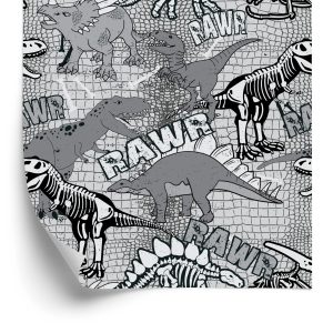 Behang Fotobehang Dinosaurs For Youth Room