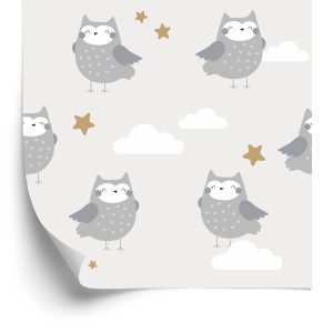 Behang Uilen In De Wolken