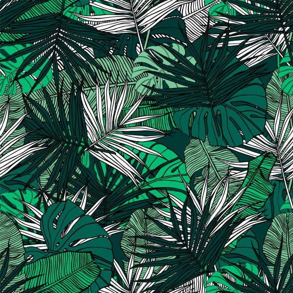 Behang Palm Banaan Monstera Bladeren - Afbeelding 2