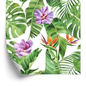 Behang Prachtige Exotische Bloemen