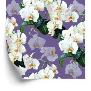 Behang Voor De Salon Orchideeën, Bloemen, Natuur, Planten
