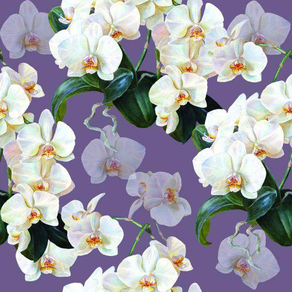 Behang Voor De Salon Orchideeën, Bloemen, Natuur, Planten - Afbeelding 2