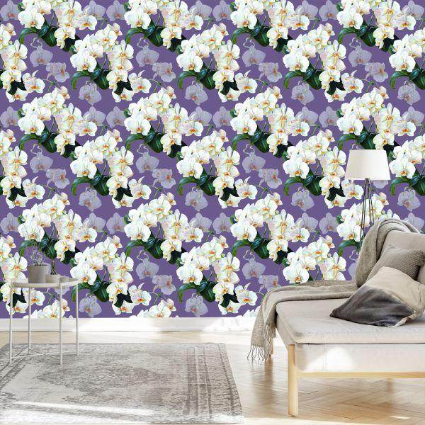 Behang Voor De Salon Orchideeën, Bloemen, Natuur, Planten - Afbeelding 3
