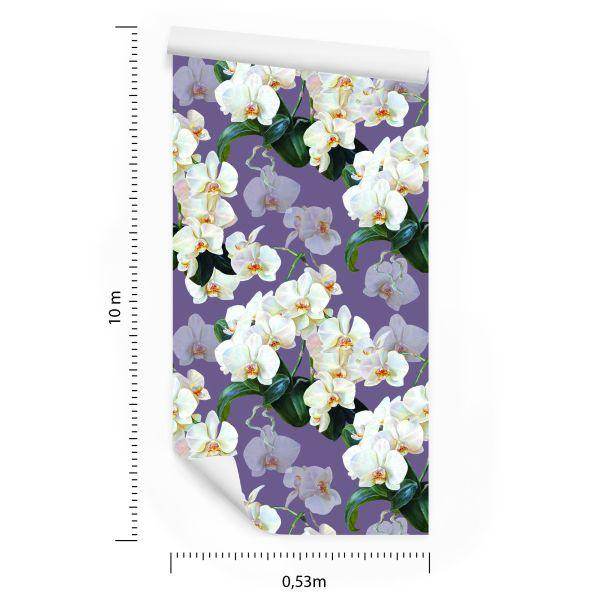Behang Voor De Salon Orchideeën, Bloemen, Natuur, Planten - Afbeelding 8