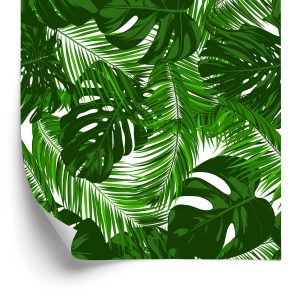 Behang Bladeren Van Exotische Planten