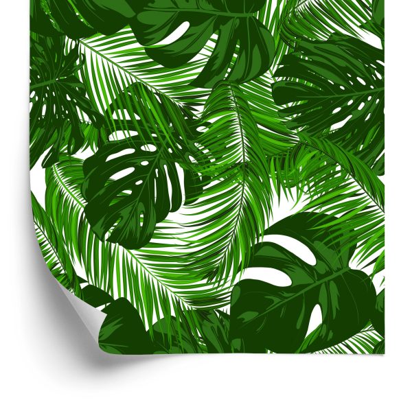 Behang Bladeren Van Exotische Planten