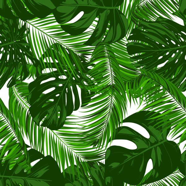 Behang Bladeren Van Exotische Planten - Afbeelding 2