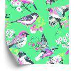 Behang Veelkleurige Vogels