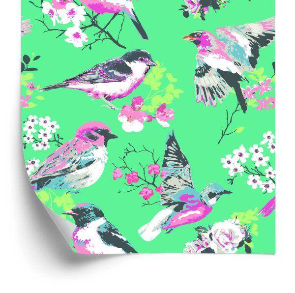 Behang Veelkleurige Vogels