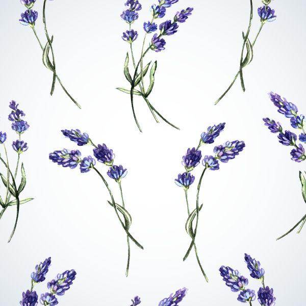 Behang Lavendel Bloemen - Afbeelding 2